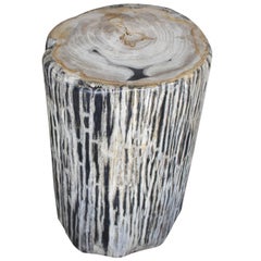 Andrianna Shamaris Black and White Stripe Petrified Wood Side Table