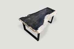 Andrianna Shamaris Black and White Super Smooth Petrified Wood Coffee Table