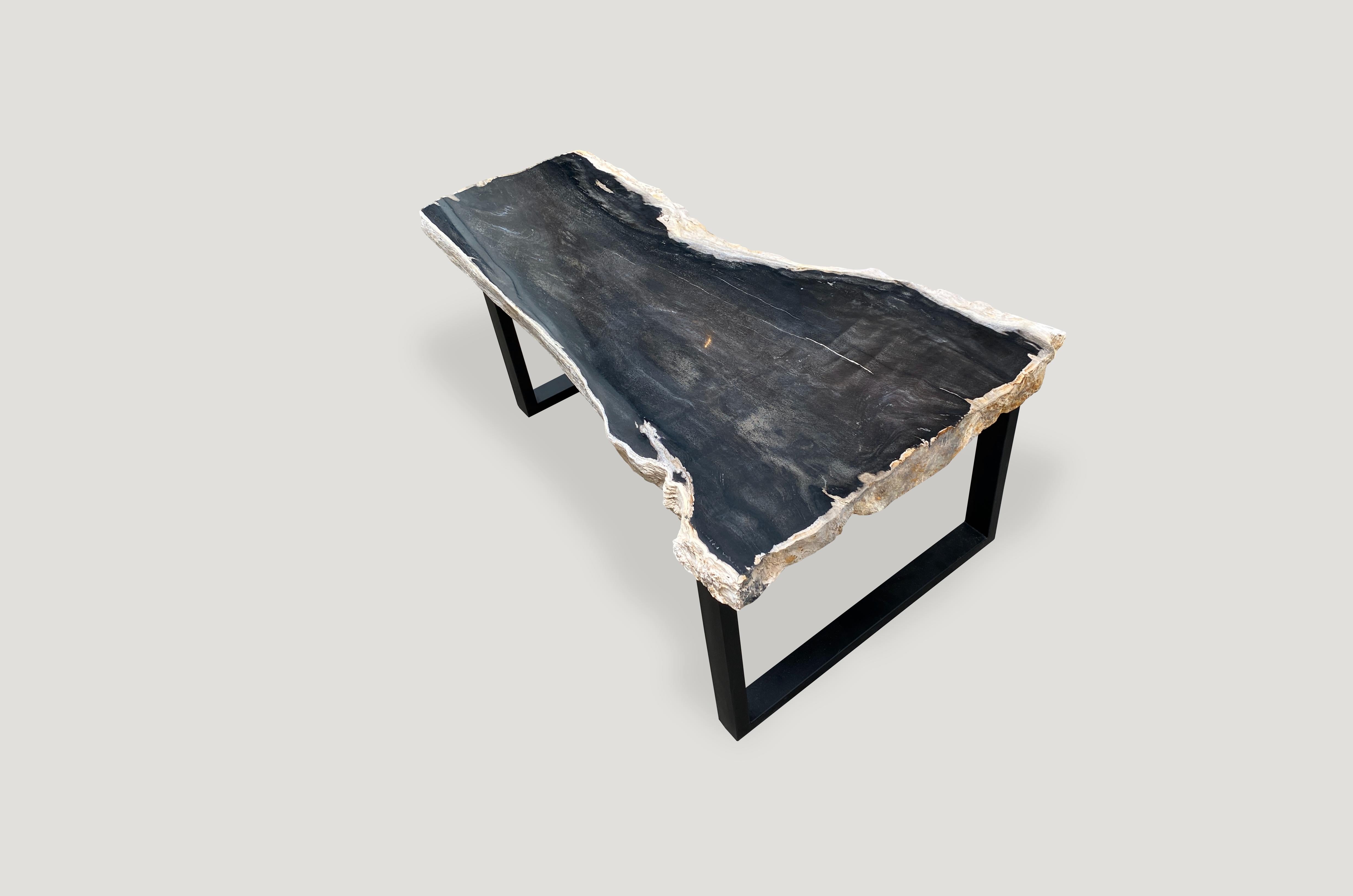 Contemporary Andrianna Shamaris Black and White Super Smooth Petrified Wood Coffee Table