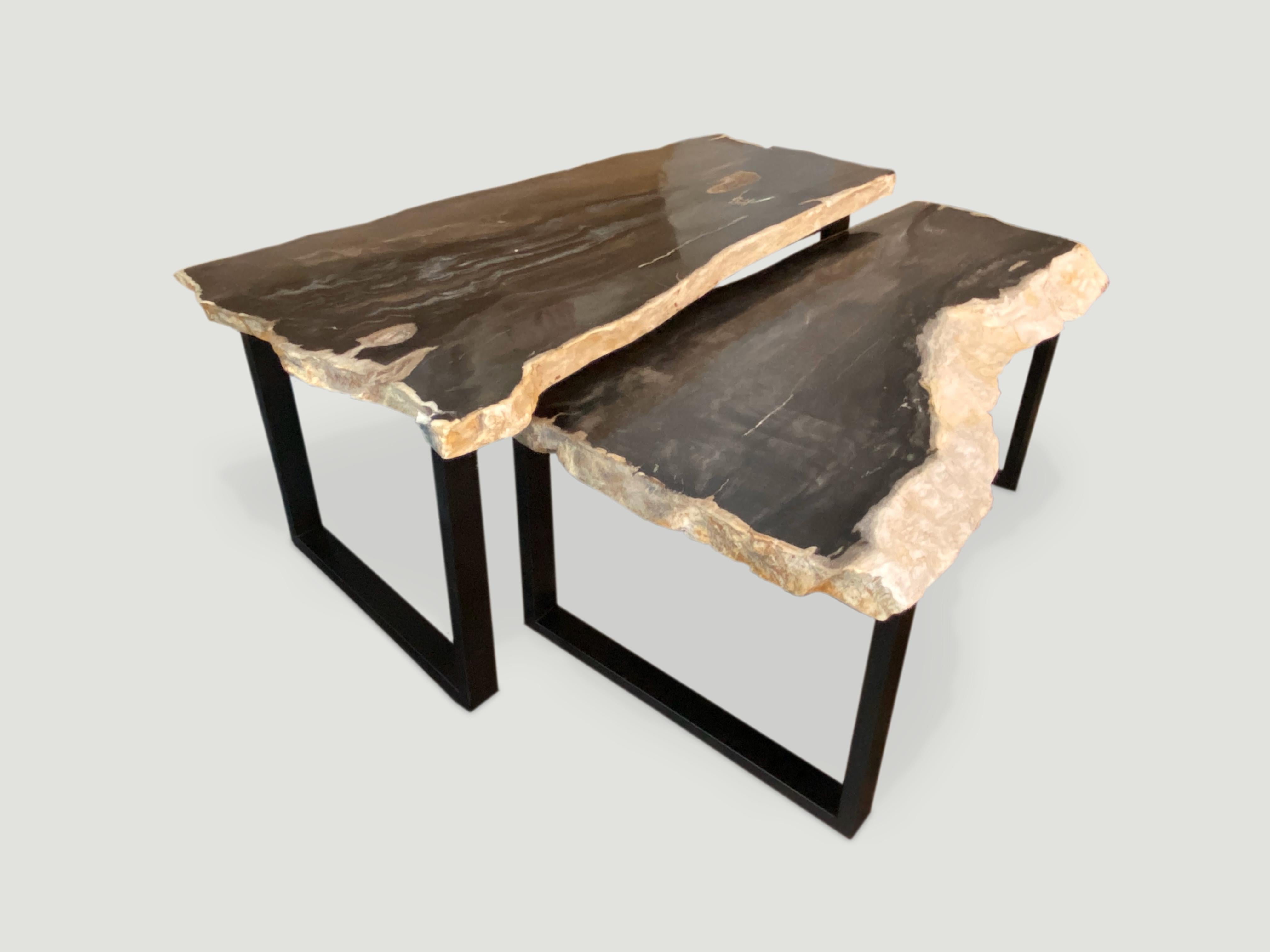 Andrianna Shamaris Black and White Super Smooth Petrified Wood Coffee Table 1