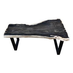Andrianna Shamaris Black and White Super Smooth Petrified Wood Coffee Table