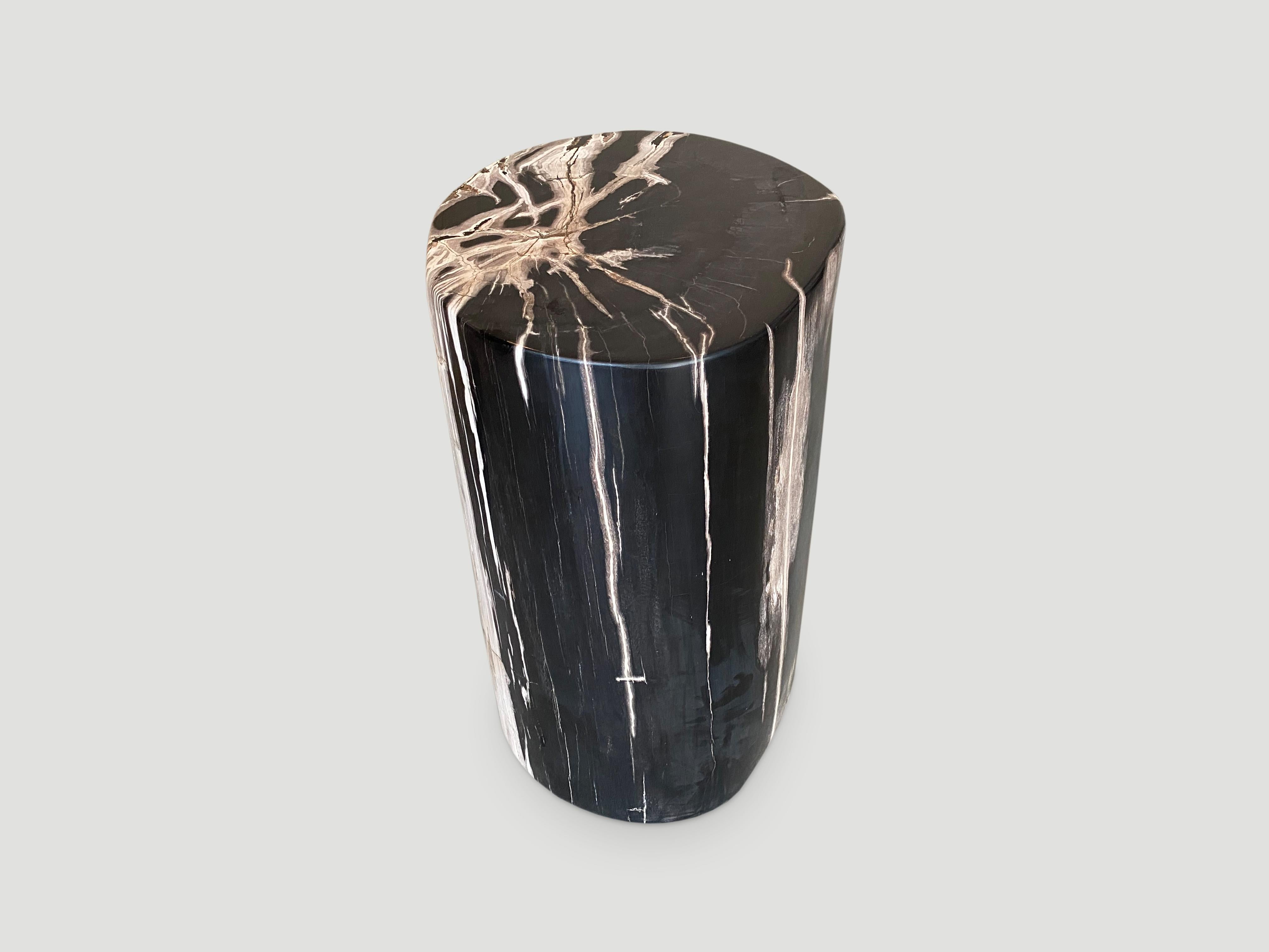 Andrianna Shamaris Black and White Super Smooth Petrified Wood Side Table In Excellent Condition In New York, NY