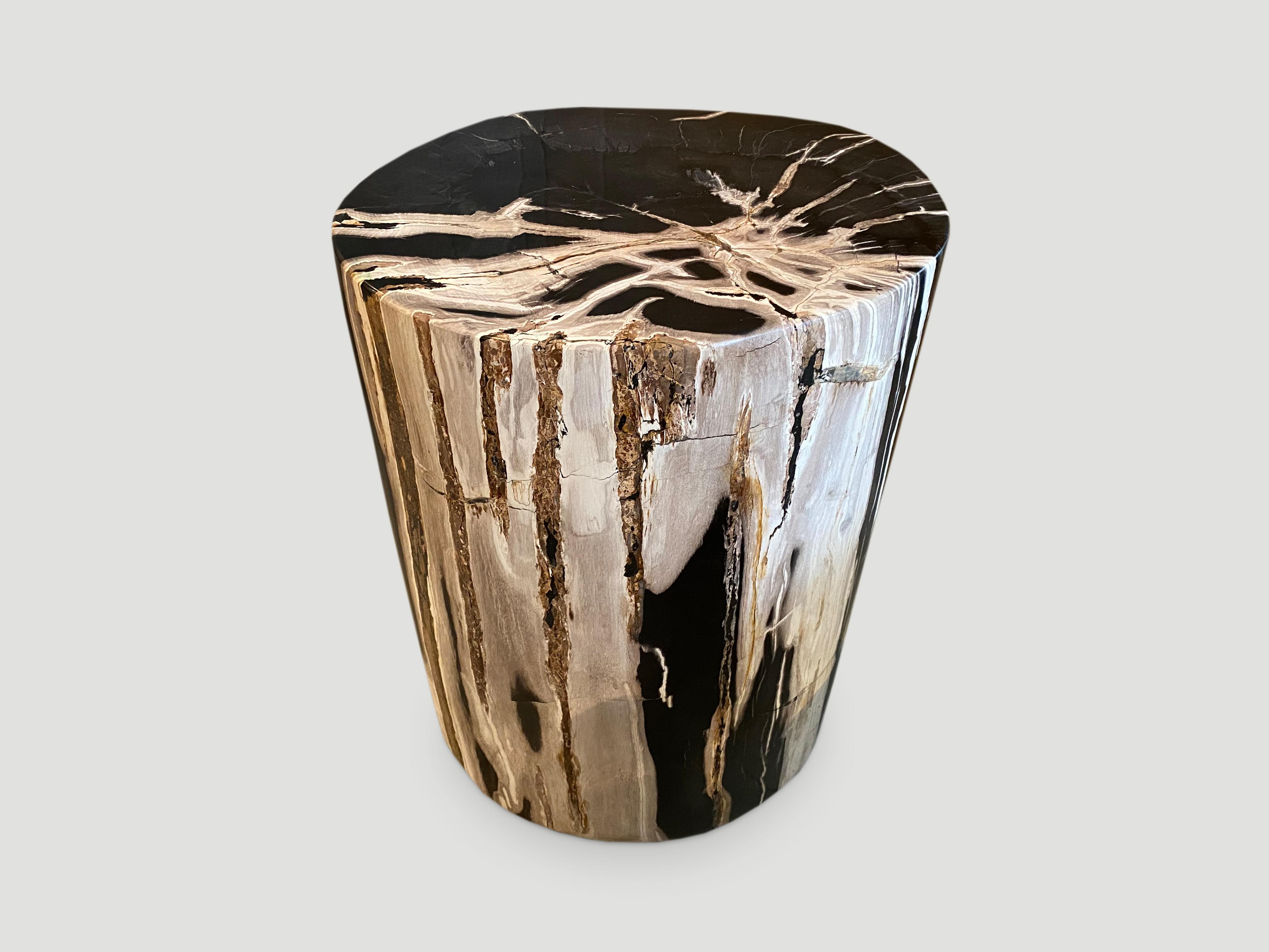 Andrianna Shamaris Black and White Super Smooth Petrified Wood Side Table 1