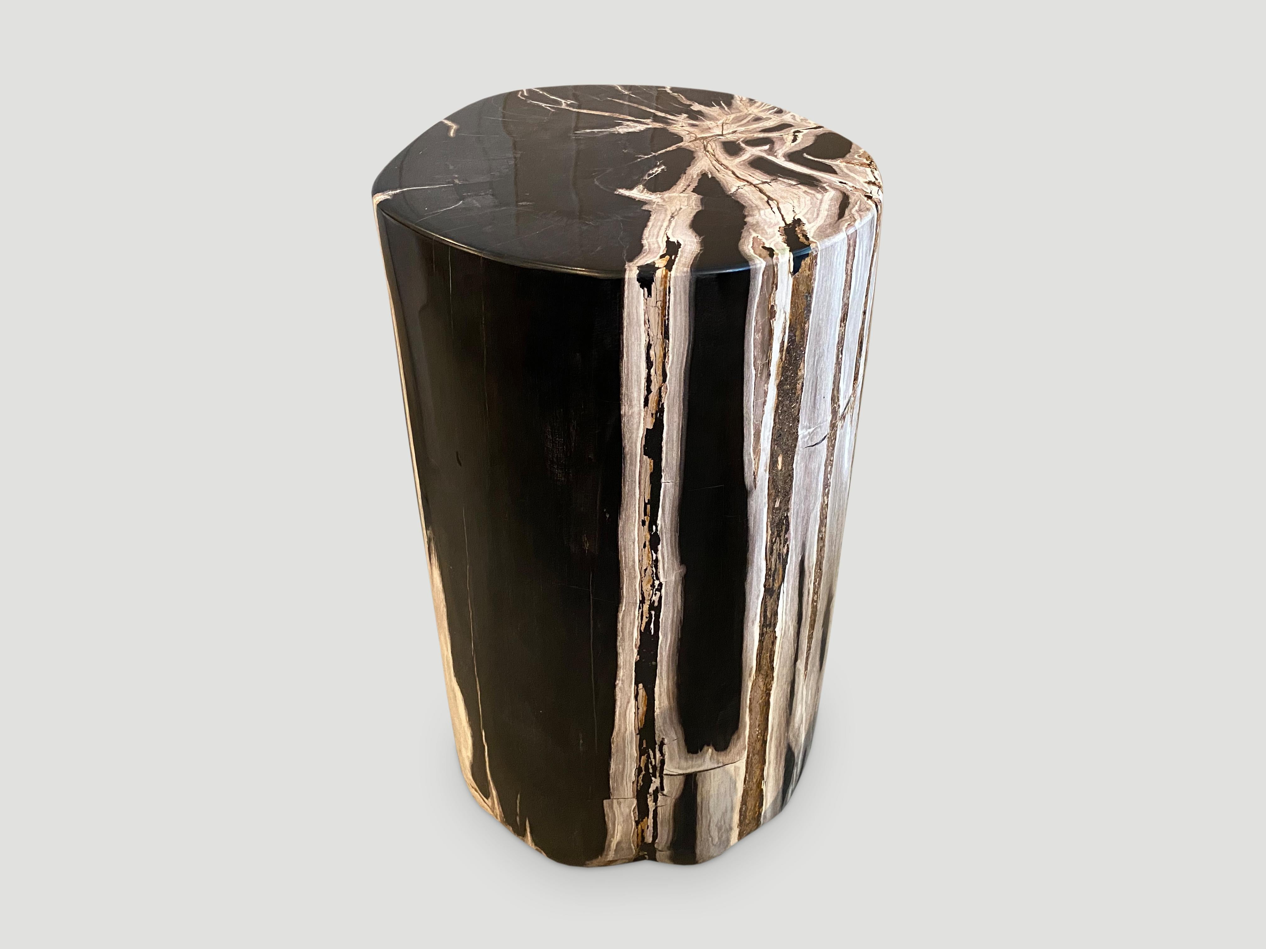 Andrianna Shamaris Black and White Super Smooth Petrified Wood Side Table 2