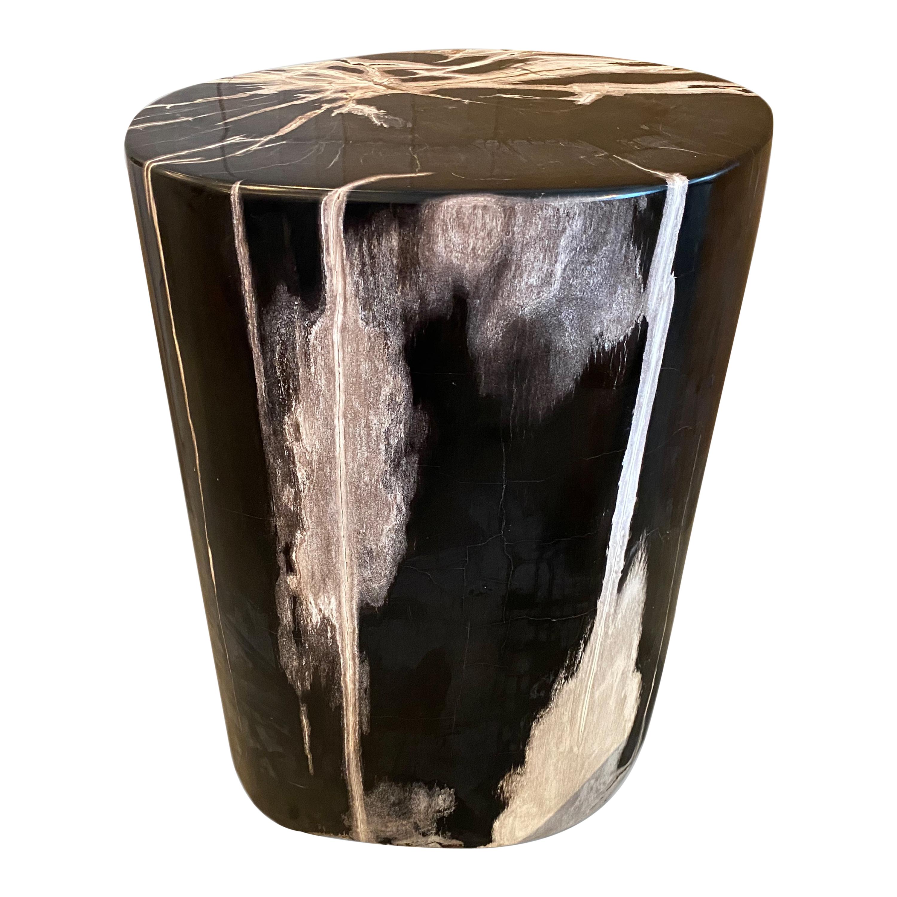 Andrianna Shamaris Black and White Super Smooth Petrified Wood Side Table