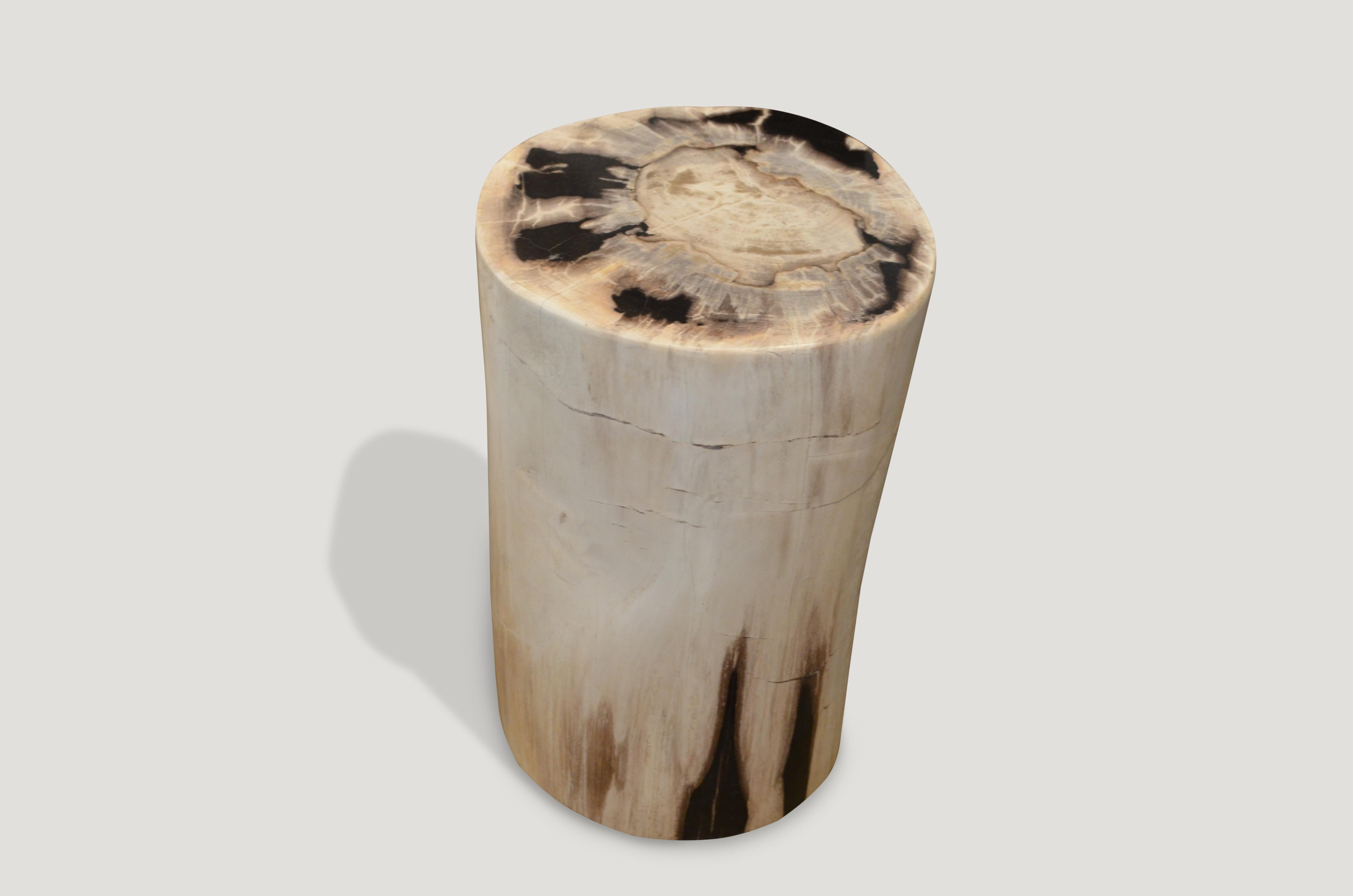 Stunning contrasting black and white toned petrified wood side table or stool. We source the highest quality petrified wood available. Each piece is hand-selected and highly polished with minimal cracks. Petrified wood is extremely versatile even