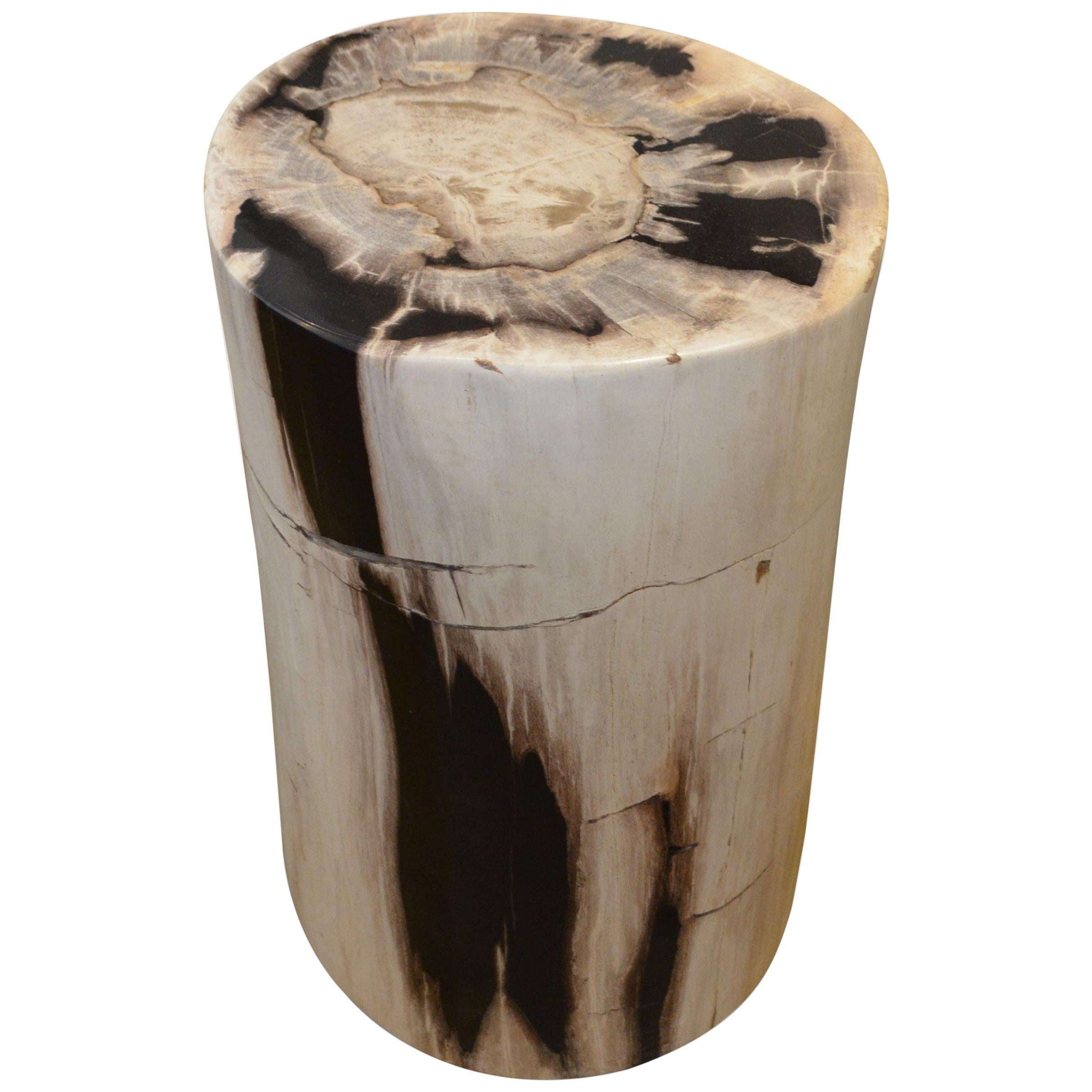 Andrianna Shamaris Black and White Toned Petrified Wood Side Table or Stool