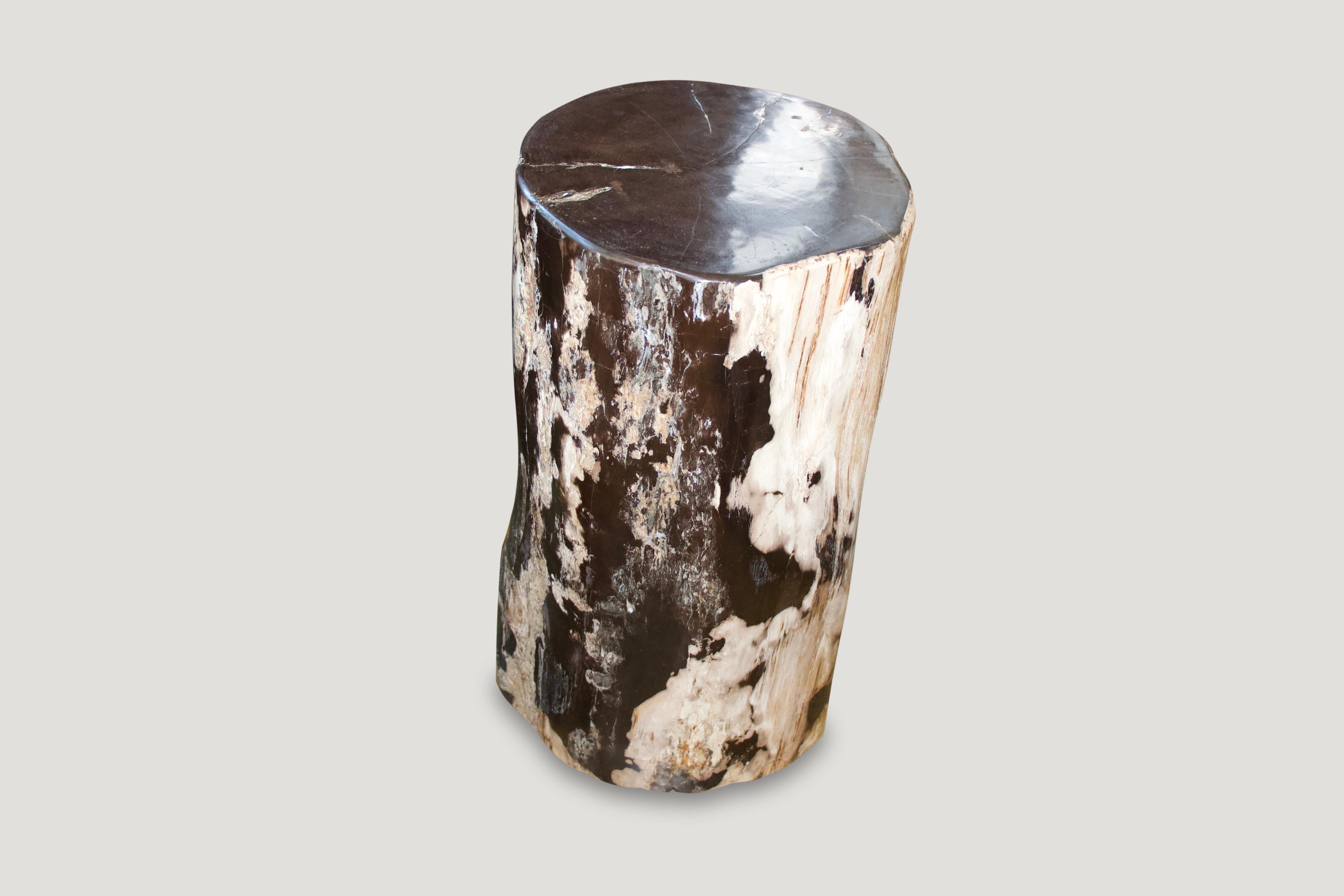 Fabulous black, green and white petrified wood side table. Over 40 million years old, yet so modern when these fossilized petrified logs are polished and when the logs sourced are in this very special contrasting color tone. We have a collection all