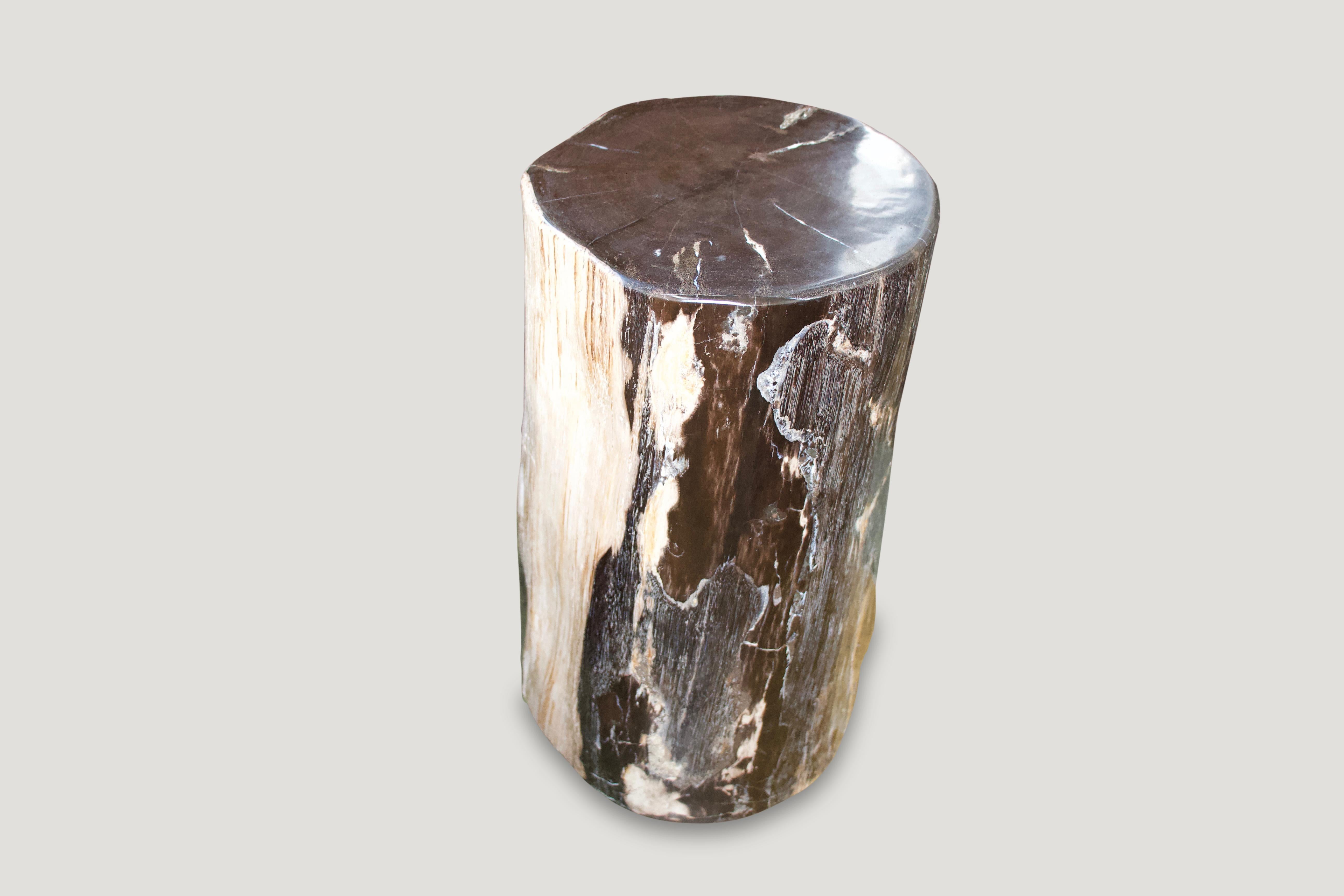 Andrianna Shamaris Black Green and White Petrified Wood Side Table In Excellent Condition In New York, NY