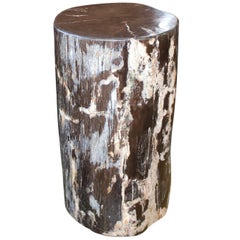 Antique Andrianna Shamaris Black Green and White Petrified Wood Side Table