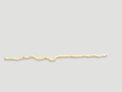 Andrianna Shamaris Bleached Liana Branch