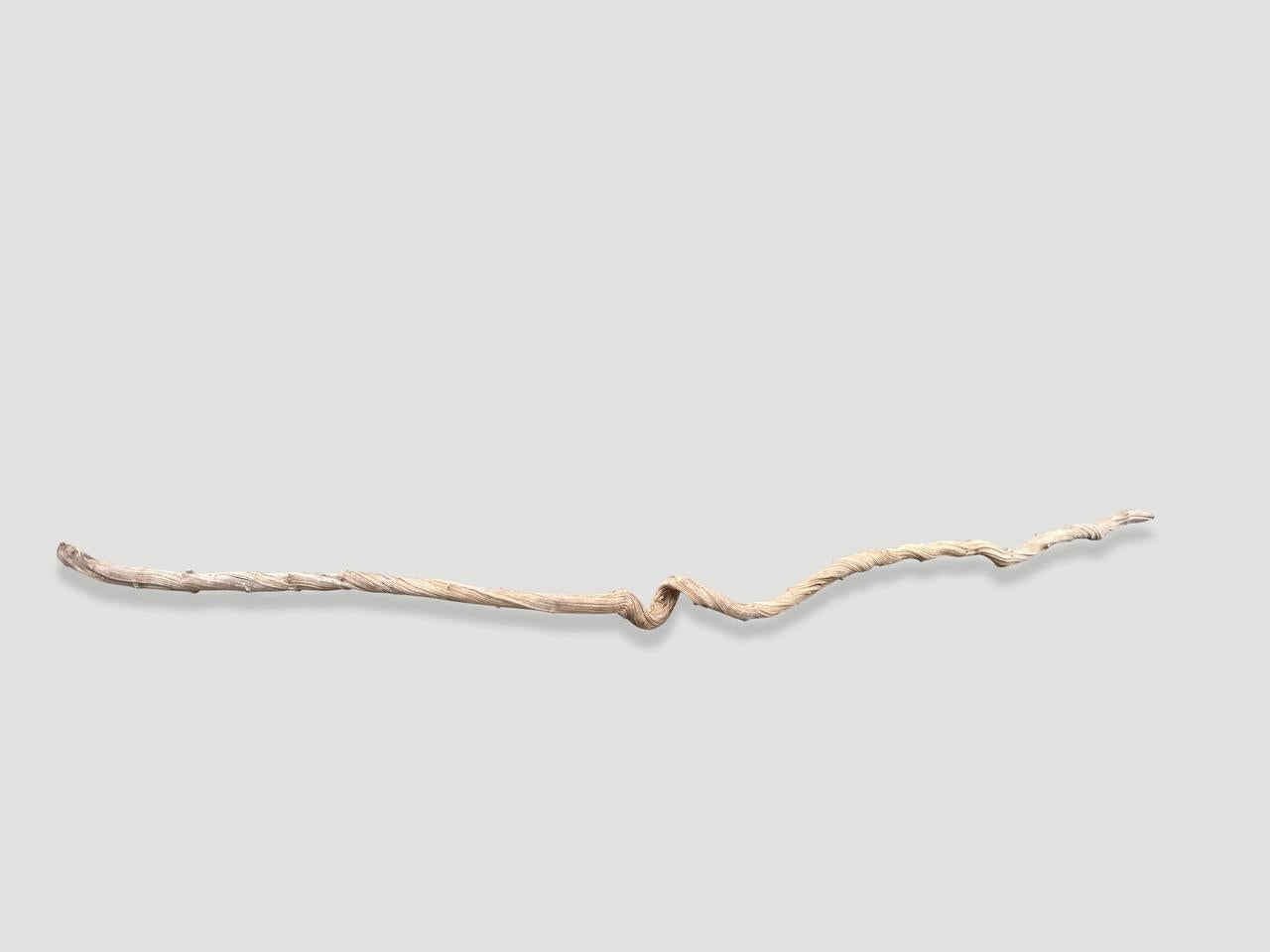 Beautiful long liana branch. Standing tall in a corner, installed as a handrail or above a bed with a textile. There are many different uses for this one of a kind sculptural piece. Sanded and bleached revealing the stunning wood grain. It’s all in