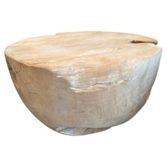 Andrianna Shamaris Bleached Teak Drum Coffee Table