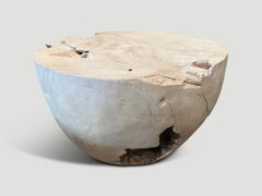 Andrianna Shamaris Bleached Teak Root Coffee Table