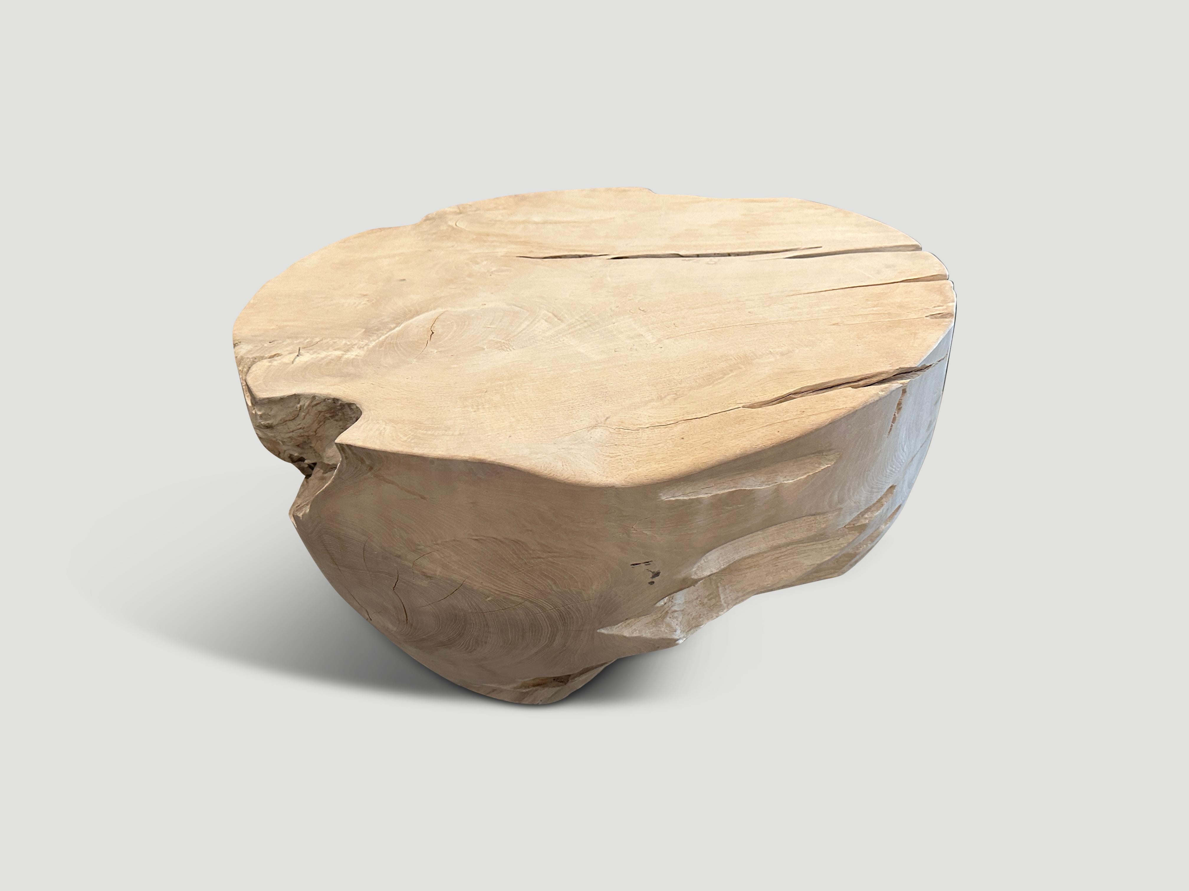 Contemporary Andrianna Shamaris Bleached Teak Root Coffee Table