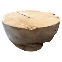 Andrianna Shamaris Bleached Teak Root Coffee Table