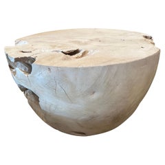 Andrianna Shamaris Bleached Teak Root Coffee Table