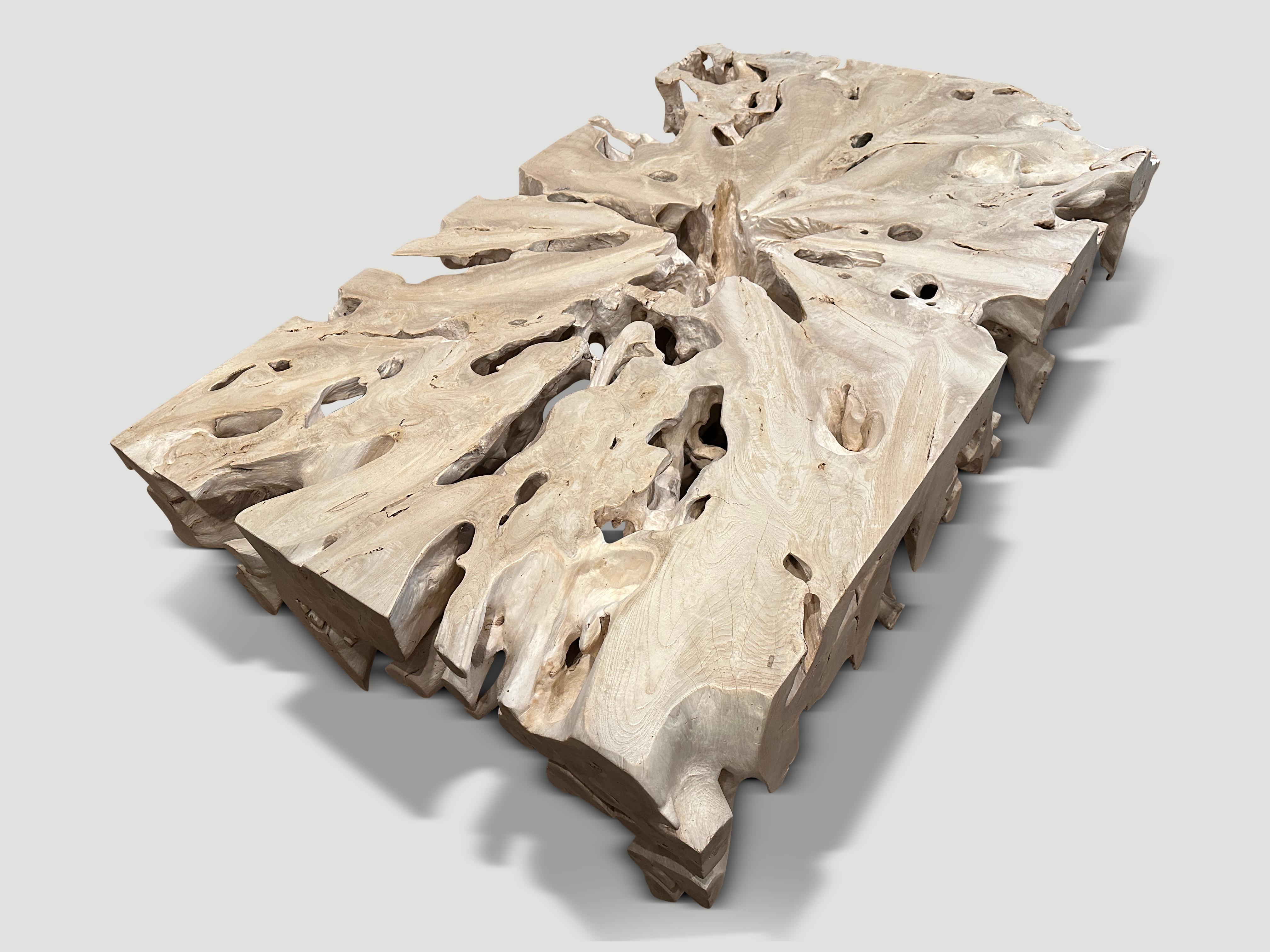 Bleached teak root coffee table or if turned on the side a console or room divider at 55.5” wide x 14” deep x 36” high. Hand cut, shaped and sanded from a single reclaimed teak root.  We added a polish to the top and flat sections on the side, for
