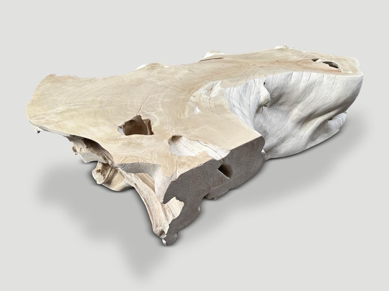 Impressionnante table basse naturelle de forme organique fabriquée à partir d'une racine de teck récupérée il y a cent ans. Nous avons ajouté un léger vernis sur le dessus pour le protéger. Les côtés sont poncés et blanchis avec un léger contraste