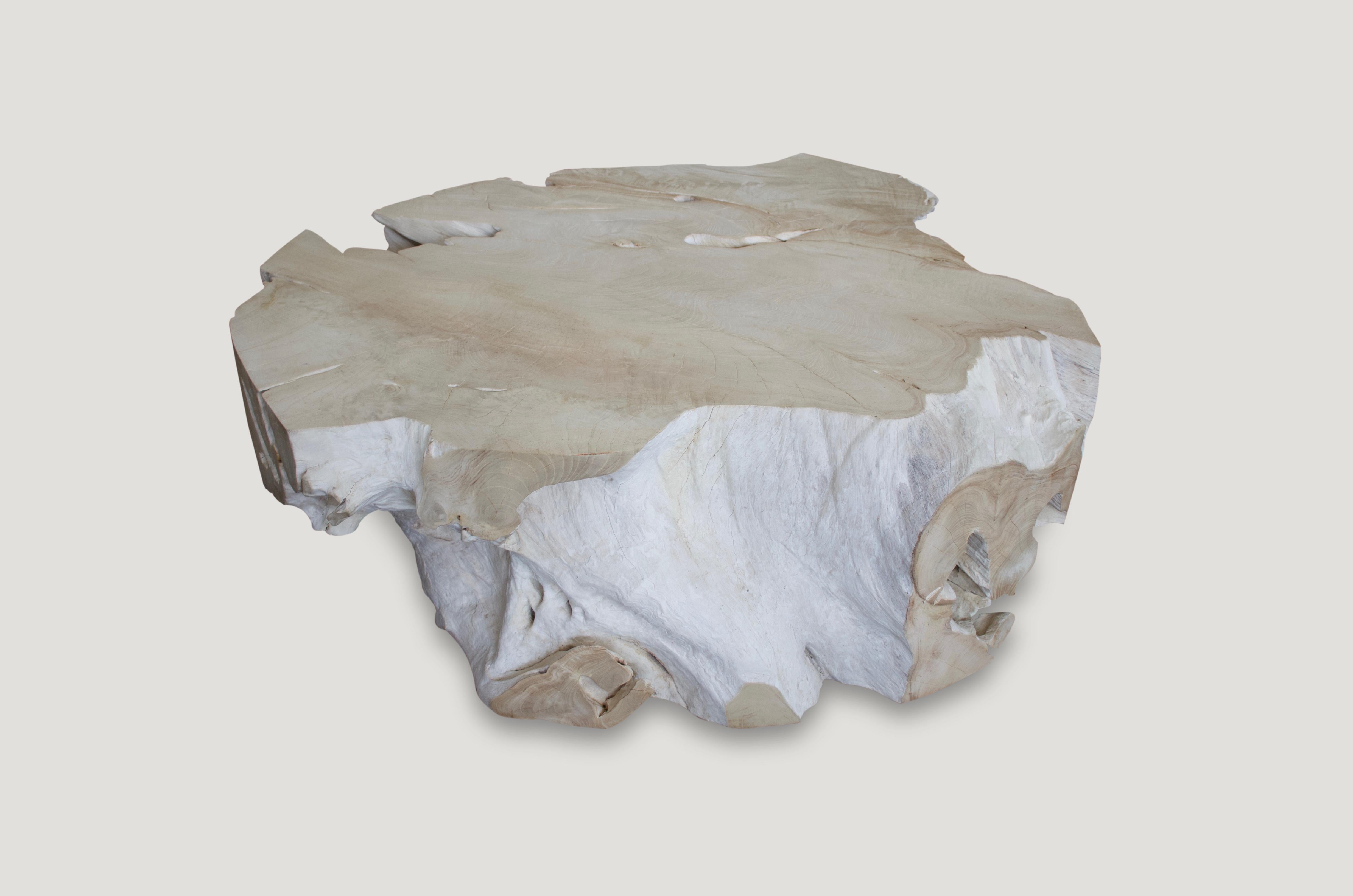 Organic Modern Andrianna Shamaris Bleached Teak Wood Coffee Table