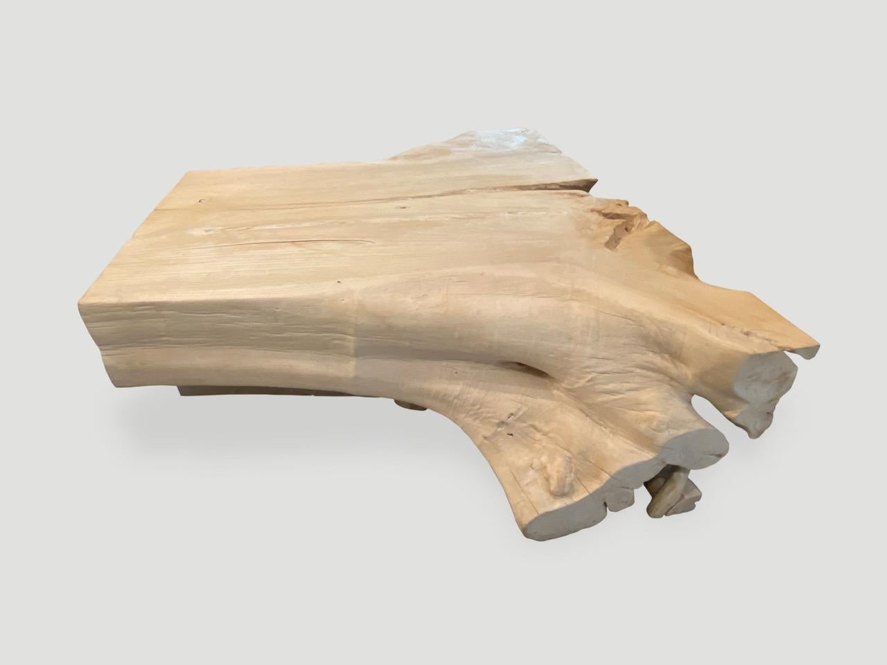 andrianna shamaris coffee table