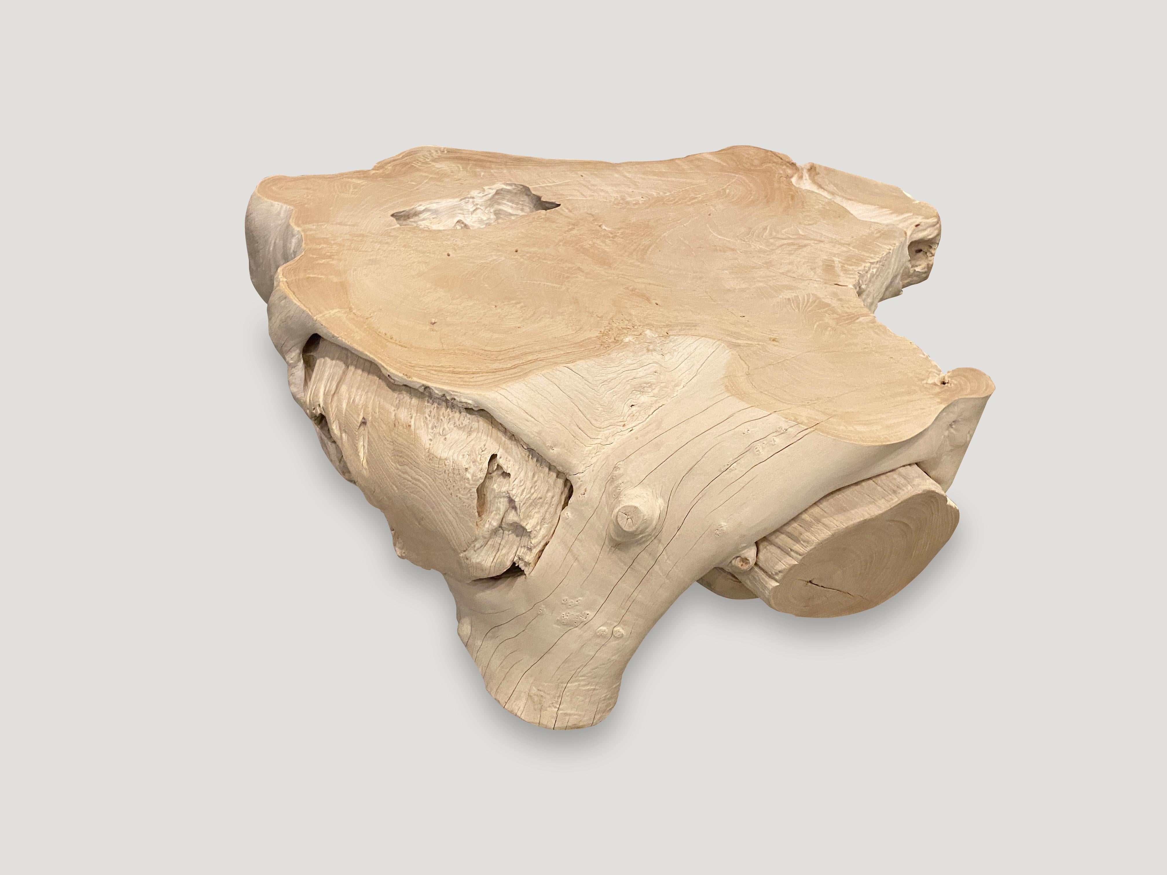 Organic Modern Andrianna Shamaris Bleached Teak Wood Coffee Table