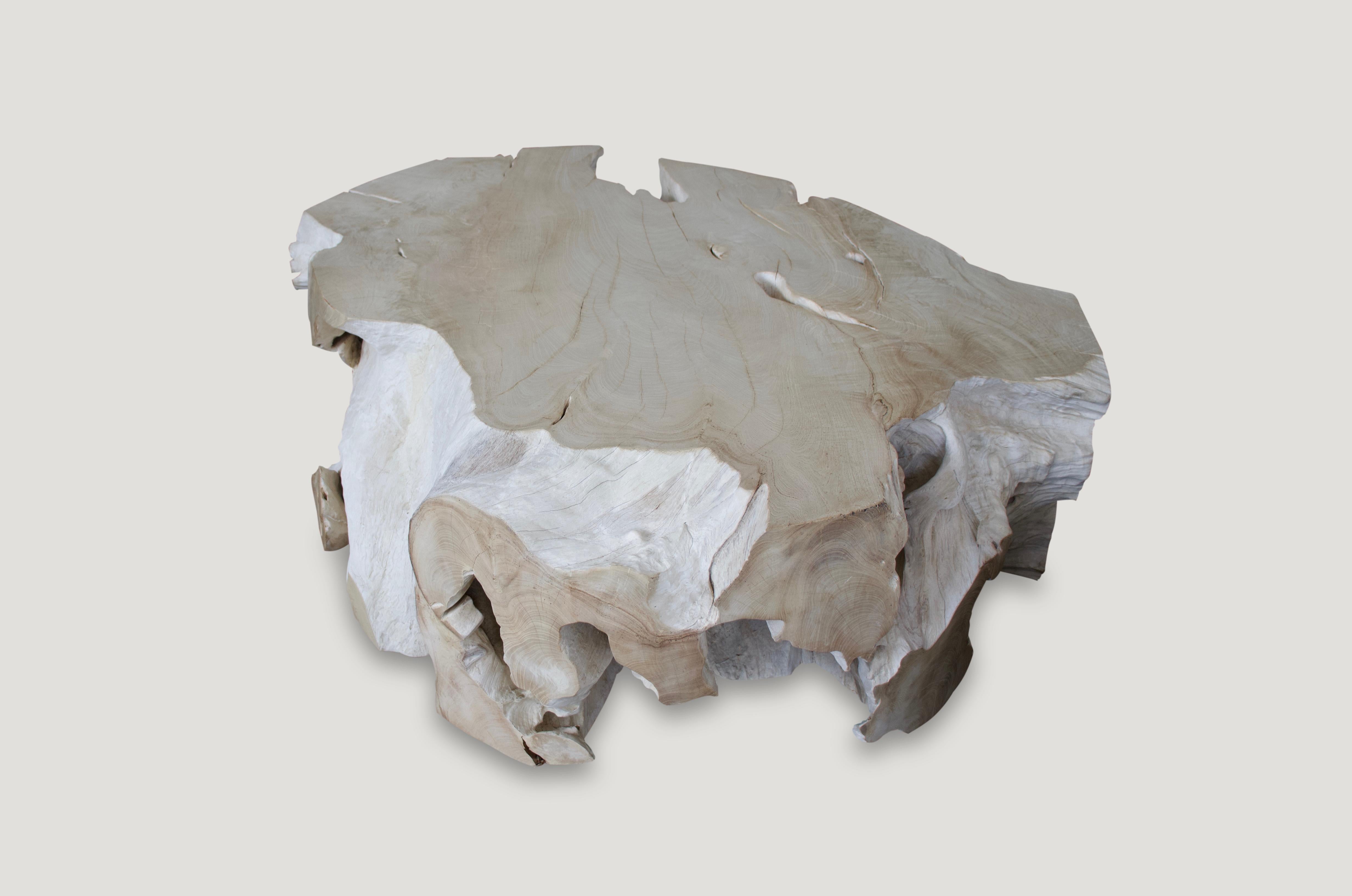 Contemporary Andrianna Shamaris Bleached Teak Wood Coffee Table