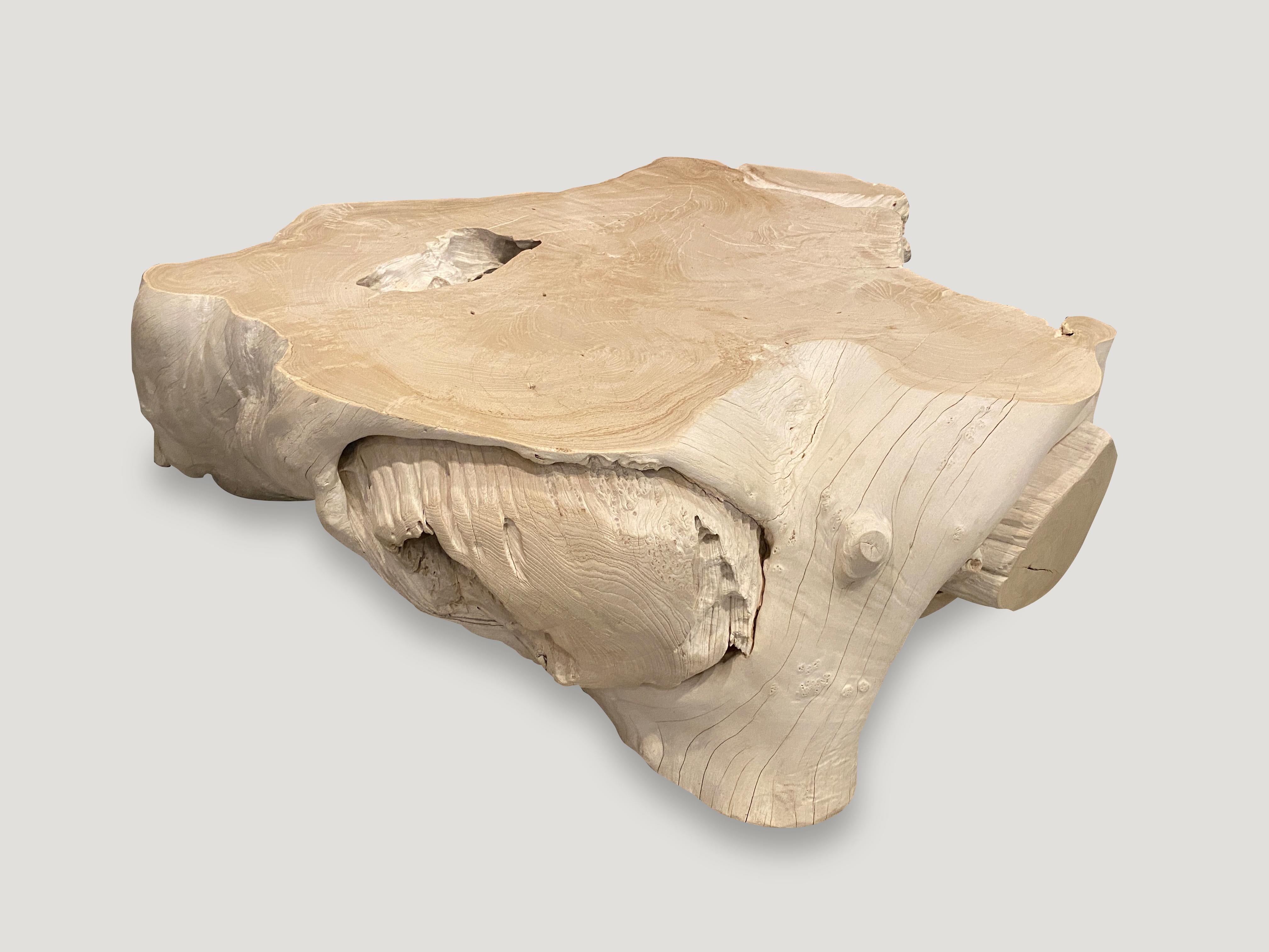 Andrianna Shamaris Bleached Teak Wood Coffee Table In Excellent Condition For Sale In New York, NY