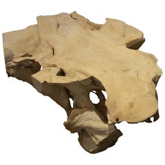 Andrianna Shamaris Bleached Teak Wood Coffee Table