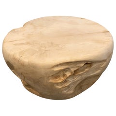 Andrianna Shamaris Bleached Teak Wood Coffee Table