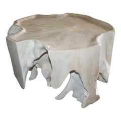 Andrianna Shamaris Bleached Teak Wood Coffee Table