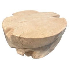 Andrianna Shamaris Bleached Teak Wood Coffee Table
