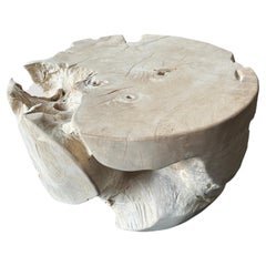 Andrianna Shamaris Bleached Teak Wood Coffee Table