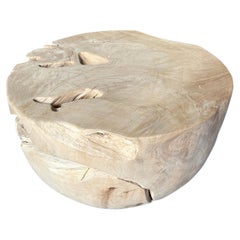 Andrianna Shamaris Bleached Teak Wood Coffee Table