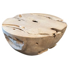 Andrianna Shamaris Bleached Teak Wood Coffee Table