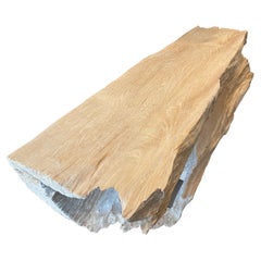 Andrianna Shamaris Bleached Teak Wood Log Bench or Coffee Table 