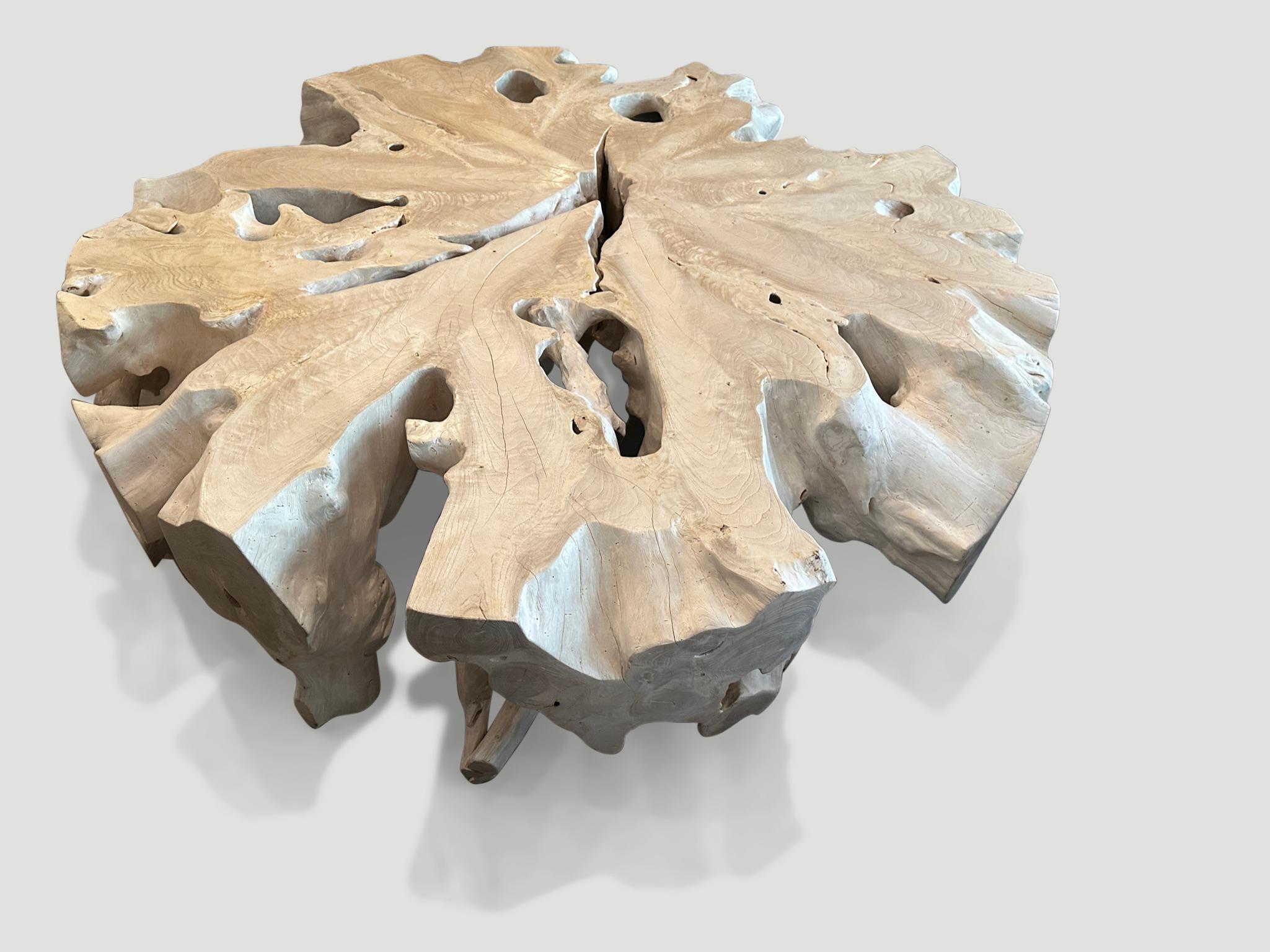 Impressionnante table basse en teck. Sculpté à la main dans cette belle forme tout en respectant le bois organique naturel. Nous avons ajouté un vernis sur le dessus et les parties latérales pour un contraste osseux léger et une protection. Tout est
