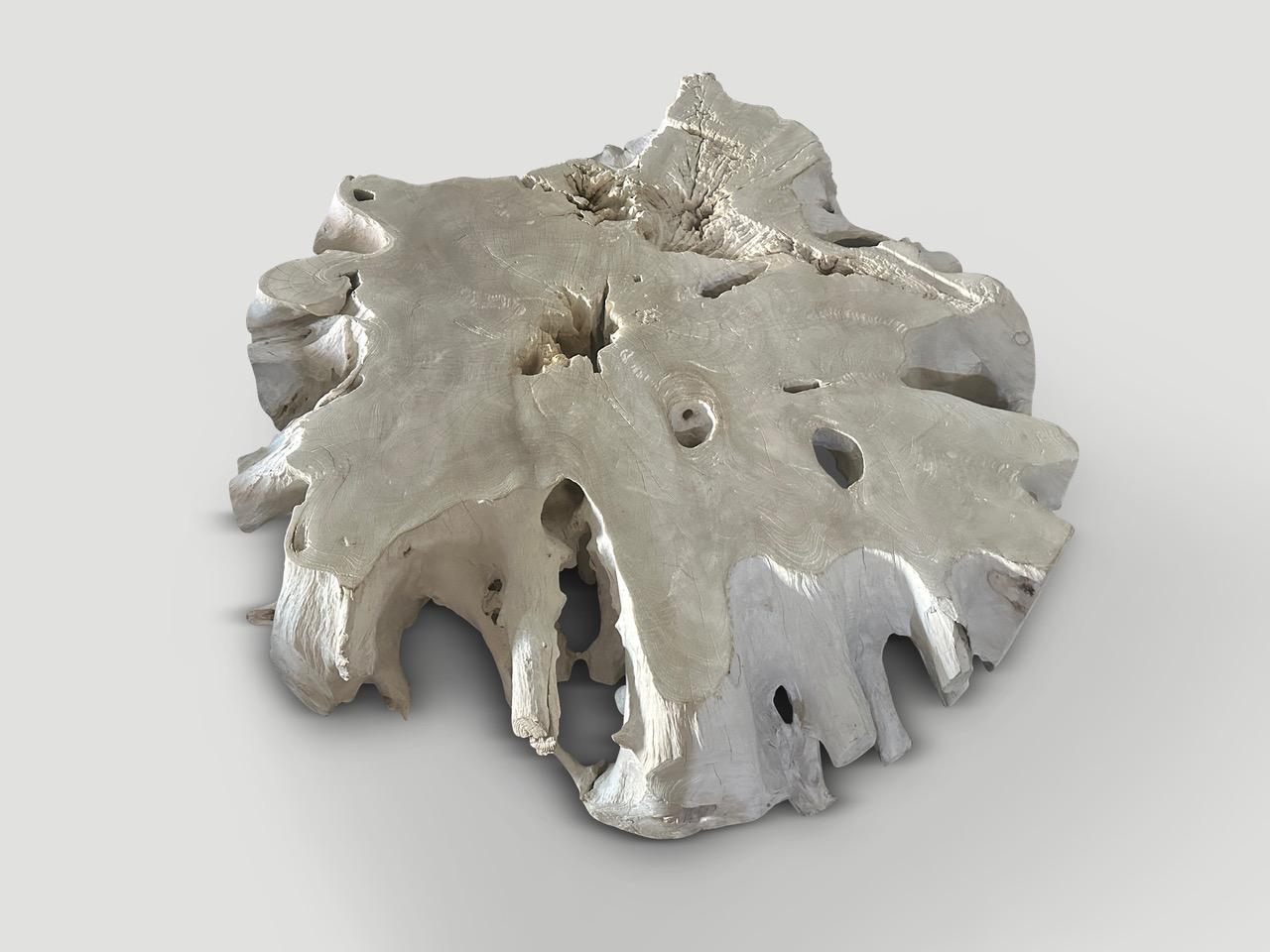 Impressionnante table basse en racine de teck sculptée à la main dans cette belle forme tout en respectant le bois organique naturel. La partie supérieure présente une érosion naturelle rare qui se produit avec le bois au fil des centaines d'années.