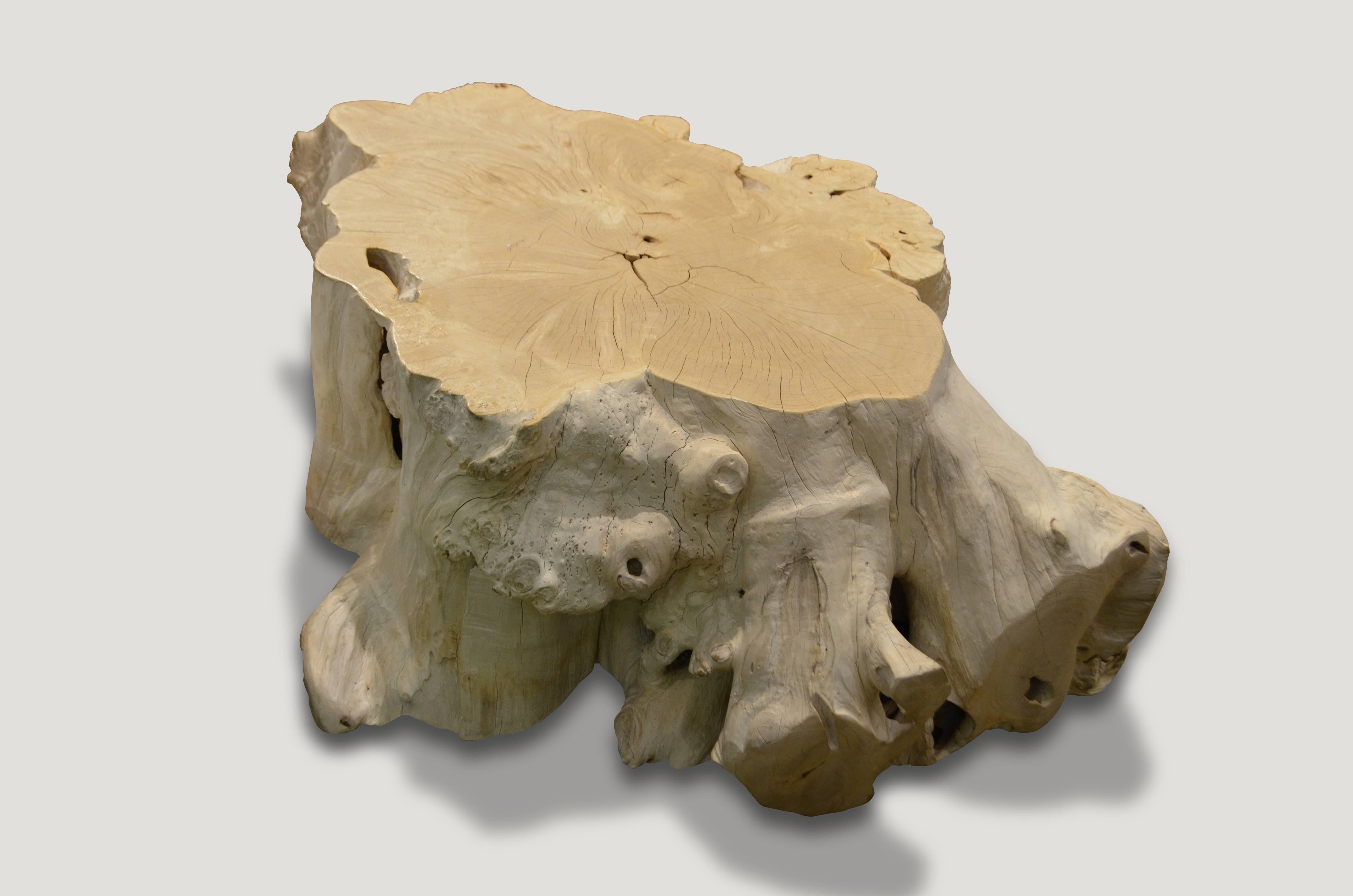 Andrianna Shamaris Bleached Teak Wood Root Coffee Table In Excellent Condition In New York, NY