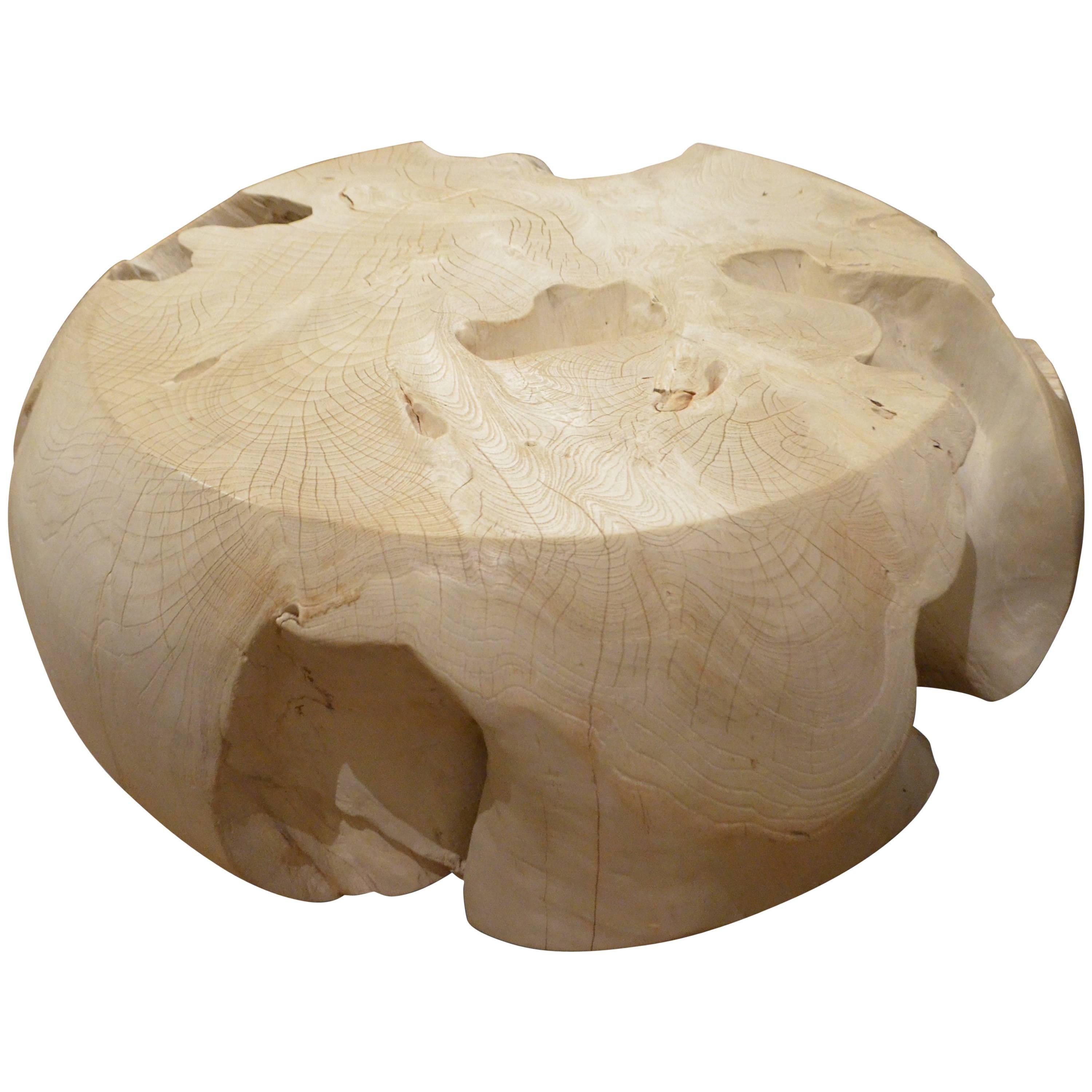 Table basse Andrianna Shamaris en bois de teck blanchi à racine