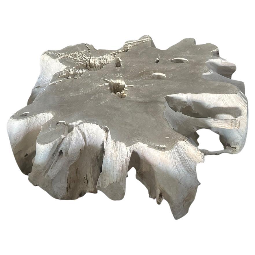 Andrianna Shamaris Table basse Roots en bois de teck blanchi