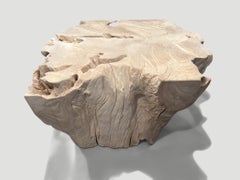 Andrianna Shamaris Bleached Teak Wood Sculptural Coffee Table or Pedestal