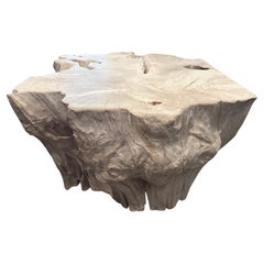 Andrianna Shamaris Bleached Teak Wood Sculptural Coffee Table or Pedestal