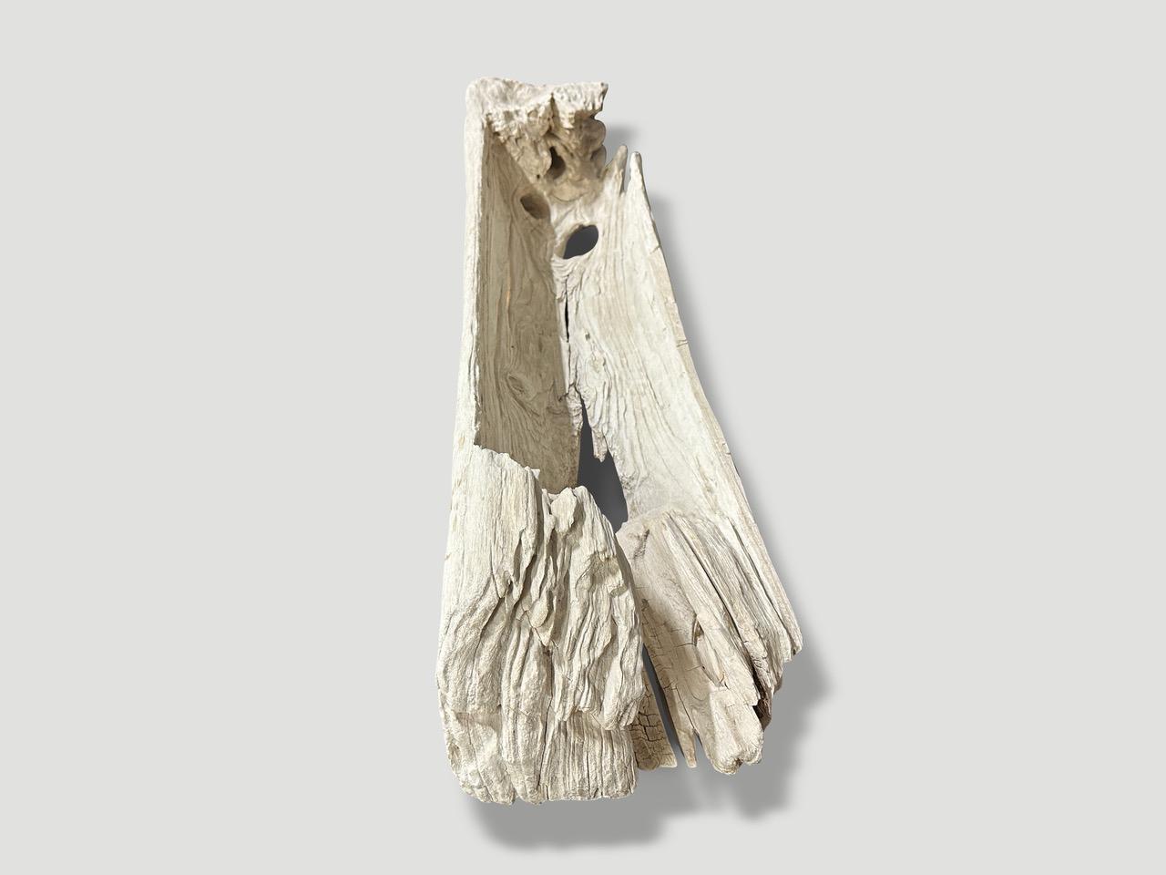 Impressionnant navire sculptural en teck à une seule racine. Utilisé à l'origine pour stocker le riz. Nous avons blanchi cette pièce unique  Le bois de la pièce révèle les magnifiques veines du bois. Parfait autour d'une piscine pour ranger les