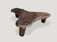 Andrianna Shamaris Boomerang Shaped Cerused Teak Wood Coffee Table