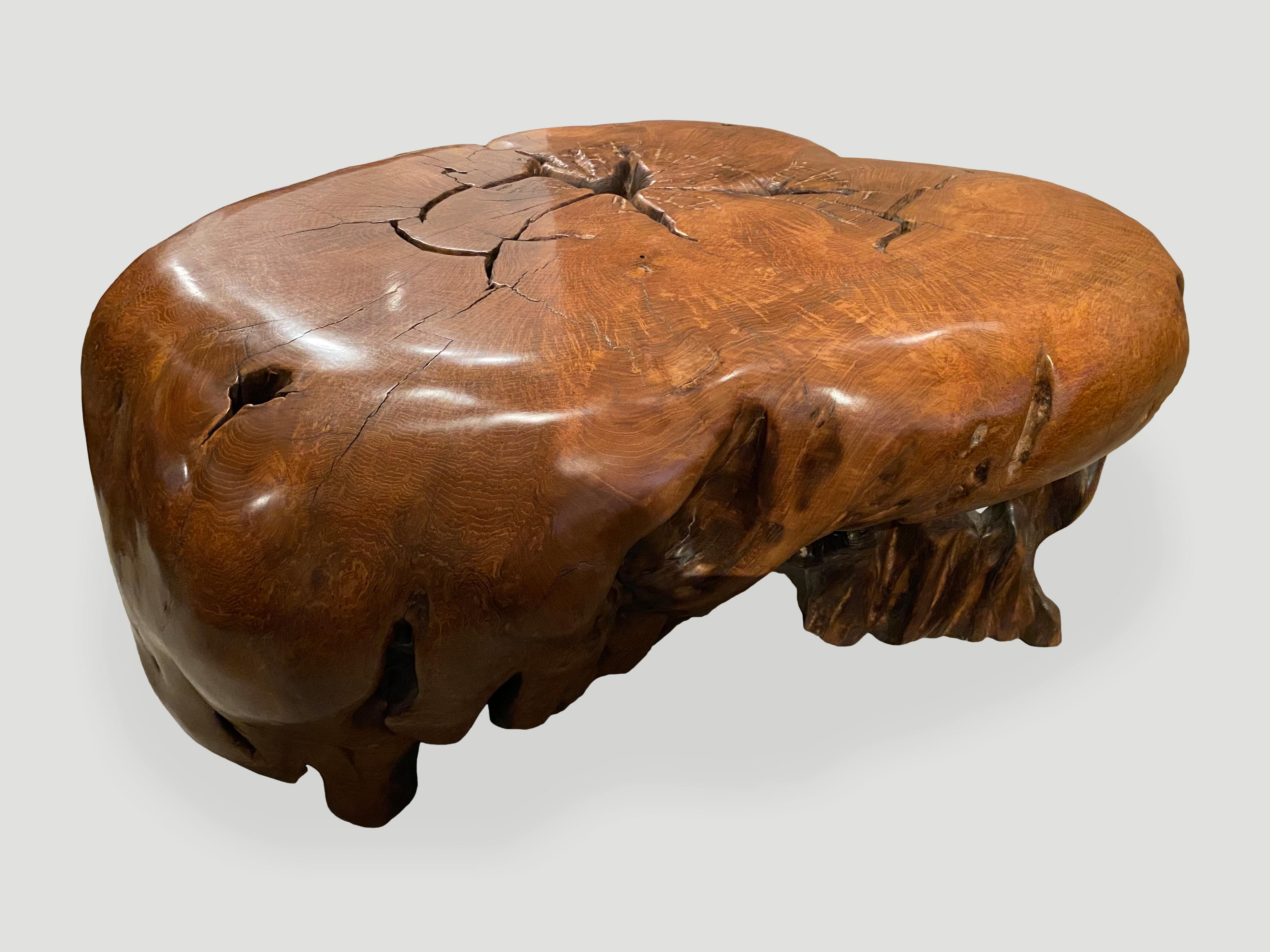 Beautiful grain in this stunning teak burl wood sculptural coffee table. The grain pattern is incredible and unable to be fully captured in an image. Natural oil finish. 

Own an Andrianna Shamaris original.

Andrianna Shamaris. The Leader In