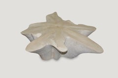 Andrianna Shamaris Butterfly Shaped Bleached Teak Wood Coffee Table