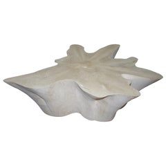 Andrianna Shamaris Butterfly Shaped Bleached Teak Wood Coffee Table