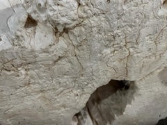 Andrianna Shamaris Century Old Bleached Teak Wood Console Table