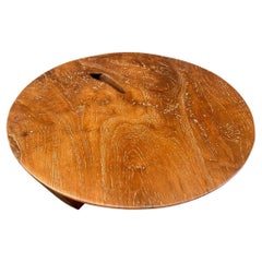 Andrianna Shamaris Minimalist Low Profile Table